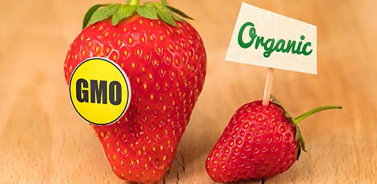Το ανέχεσαι να τρέφεσαι με μεταλλαγμένα προϊόντα;